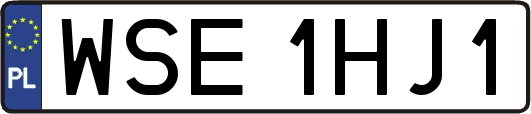 WSE1HJ1