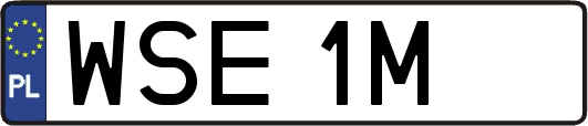 WSE1M