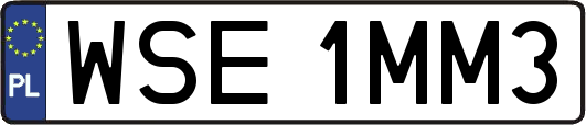 WSE1MM3