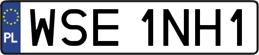 WSE1NH1