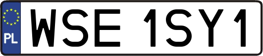 WSE1SY1