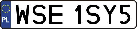 WSE1SY5