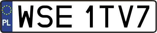 WSE1TV7