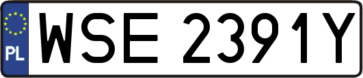 WSE2391Y