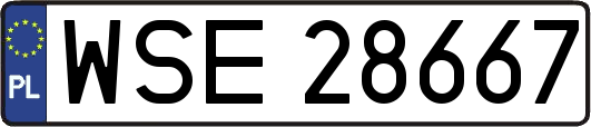 WSE28667