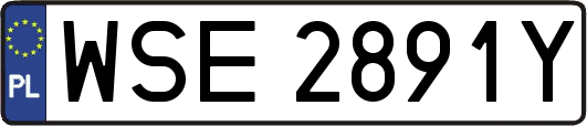 WSE2891Y