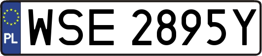 WSE2895Y