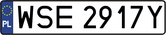 WSE2917Y