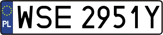 WSE2951Y