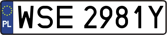 WSE2981Y