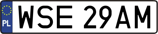 WSE29AM