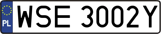 WSE3002Y