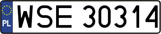 WSE30314