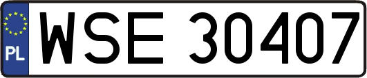 WSE30407