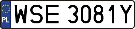 WSE3081Y