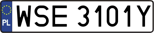 WSE3101Y