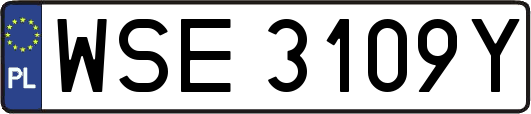 WSE3109Y