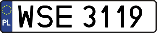 WSE3119