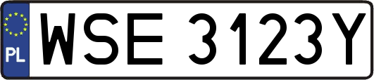 WSE3123Y