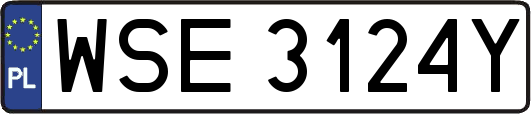 WSE3124Y