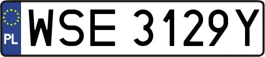 WSE3129Y