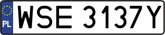 WSE3137Y