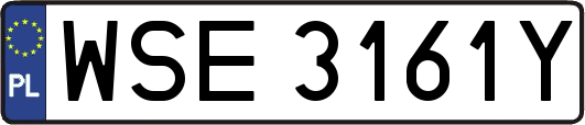 WSE3161Y