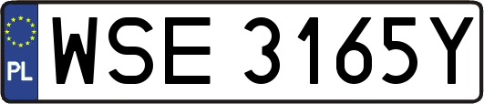 WSE3165Y