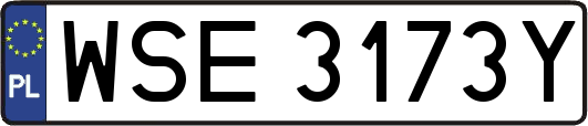 WSE3173Y