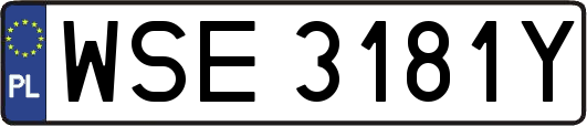 WSE3181Y