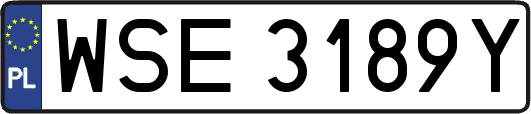WSE3189Y