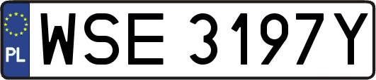 WSE3197Y