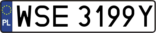 WSE3199Y