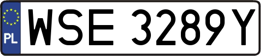 WSE3289Y