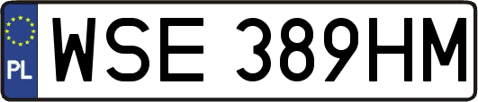 WSE389HM