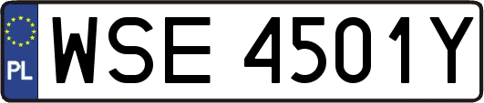 WSE4501Y