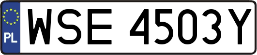 WSE4503Y