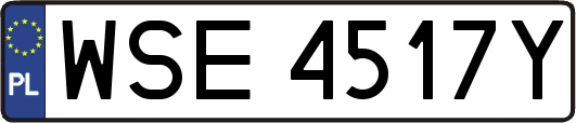 WSE4517Y