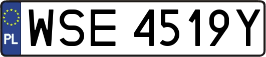 WSE4519Y