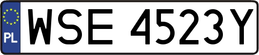 WSE4523Y