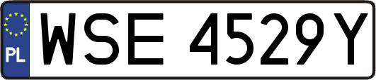 WSE4529Y