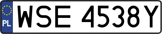 WSE4538Y