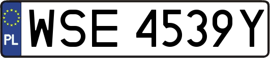WSE4539Y