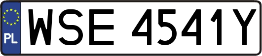 WSE4541Y