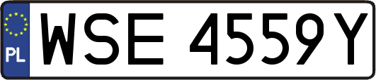 WSE4559Y