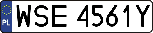 WSE4561Y