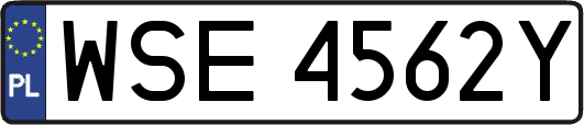 WSE4562Y