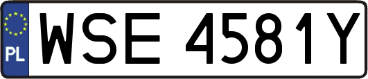 WSE4581Y
