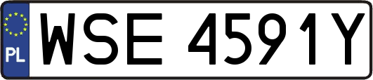 WSE4591Y