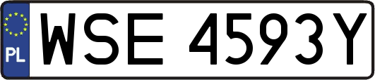 WSE4593Y